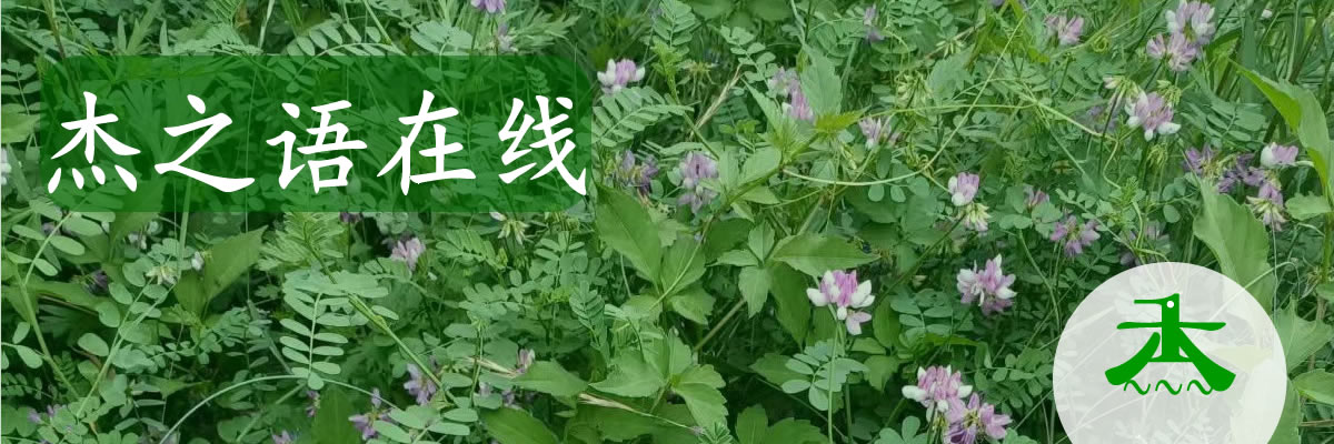 杰之语文化封面